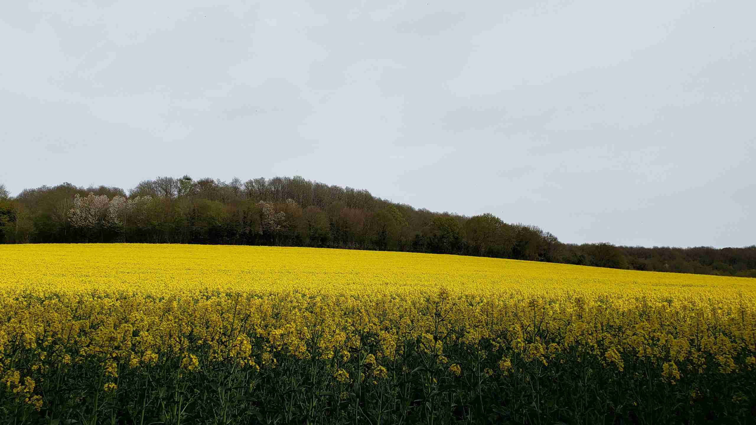 Normandy & Brittany