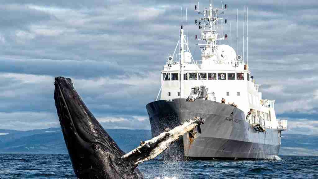 Expedition Yachting