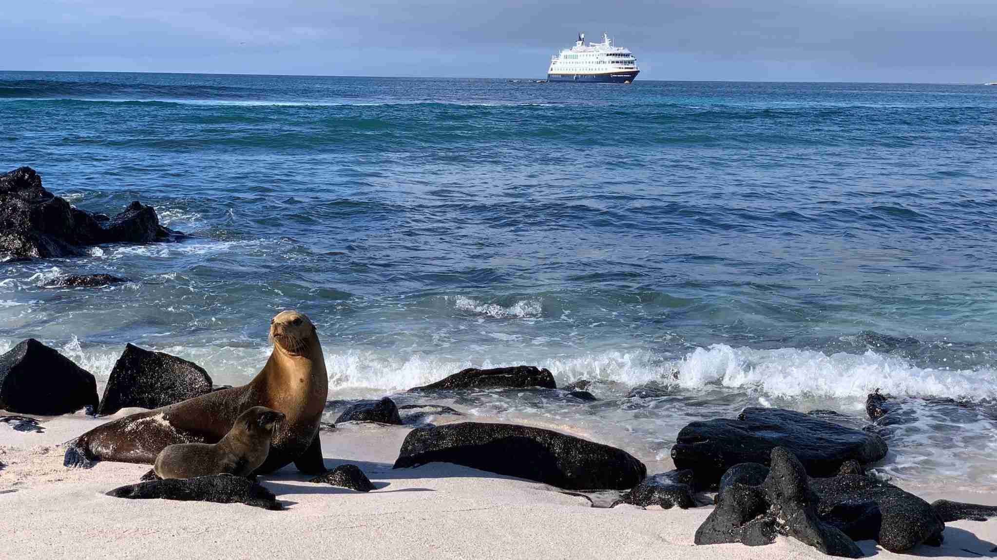 Galapagos
