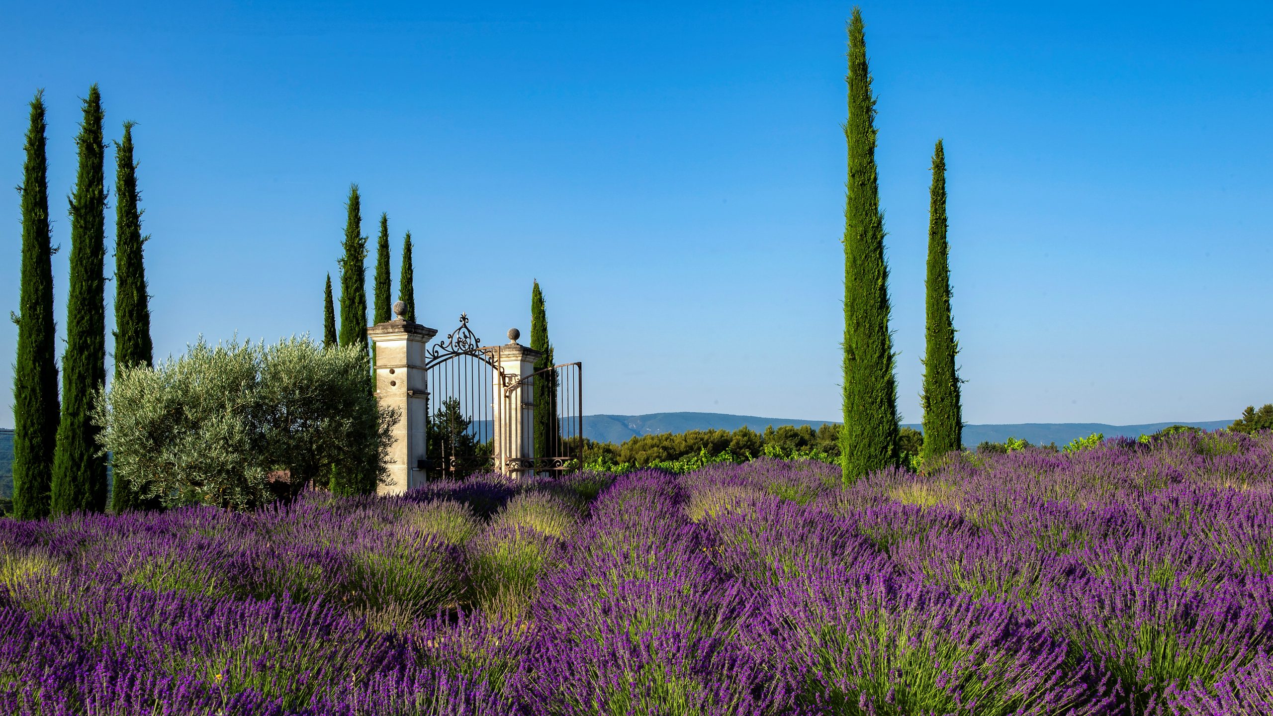 Coquillade Provence