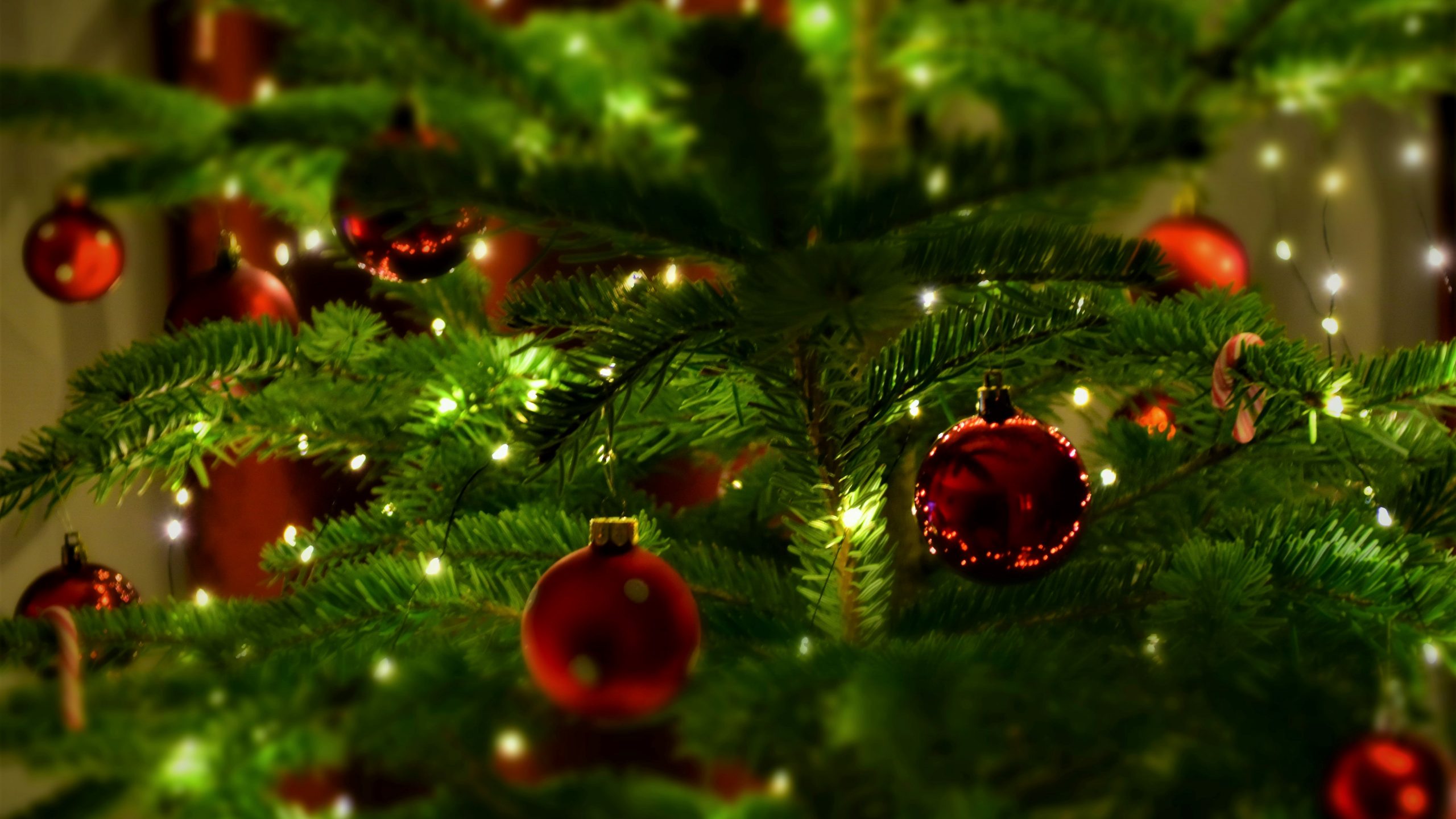 x-mas and new year
