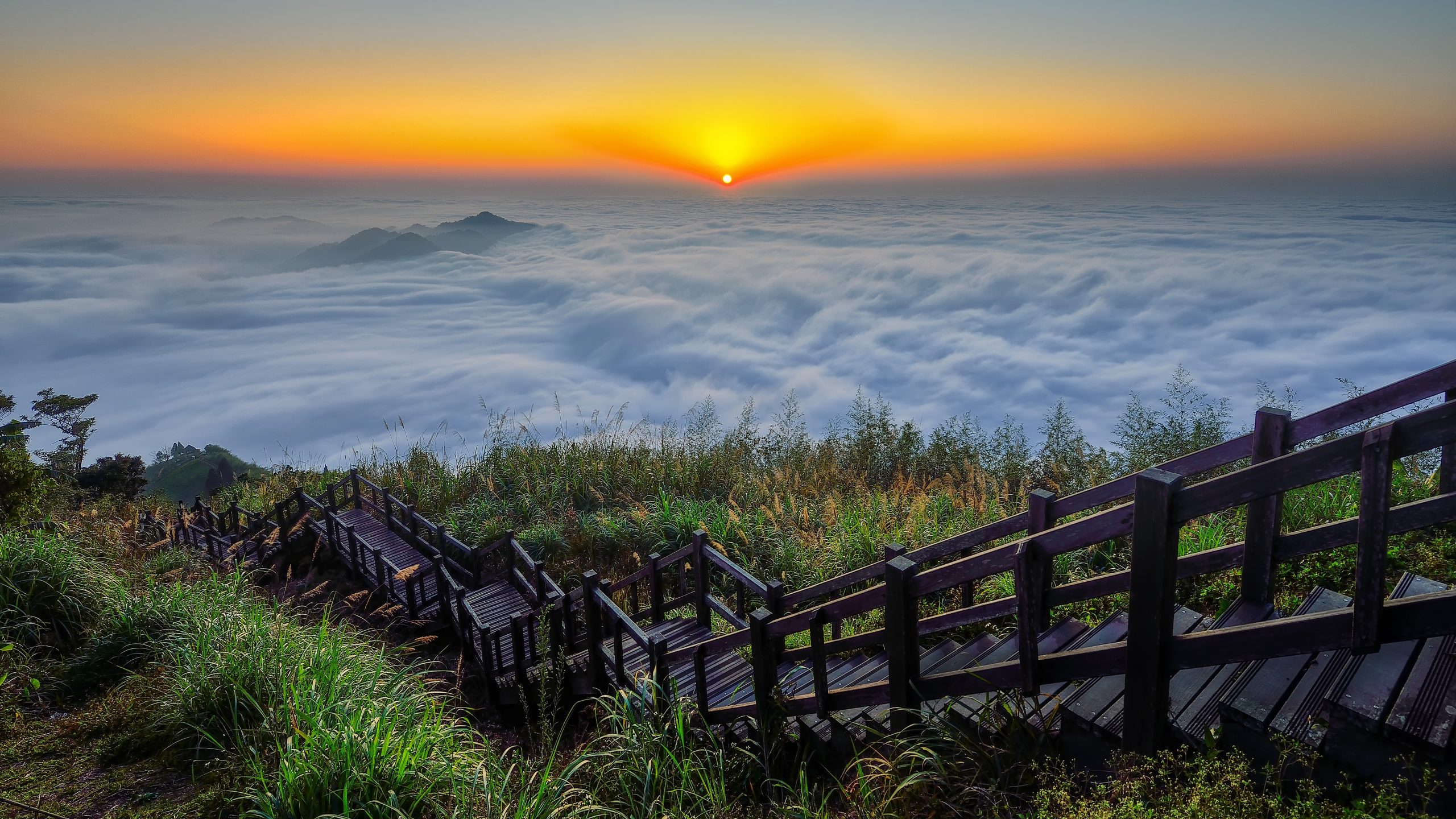 Taiwan