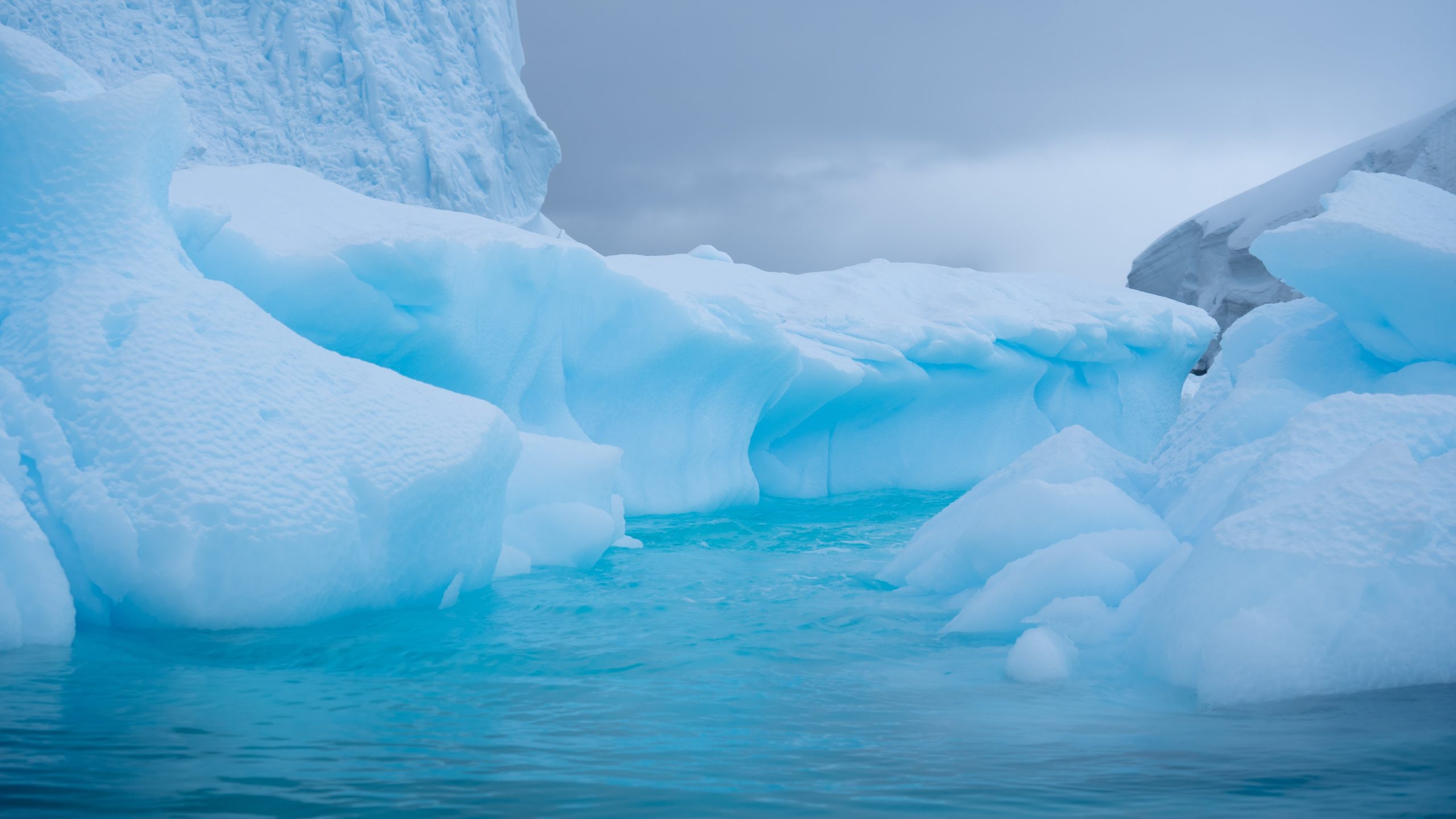 Antarctica