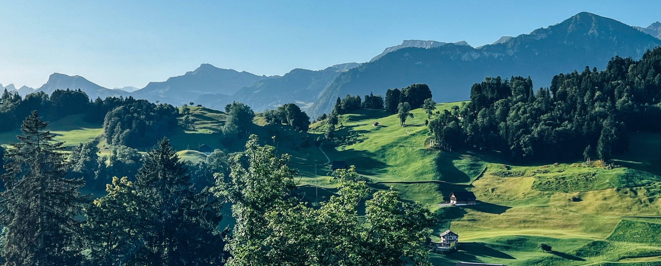 view of swiss alps while hiking 