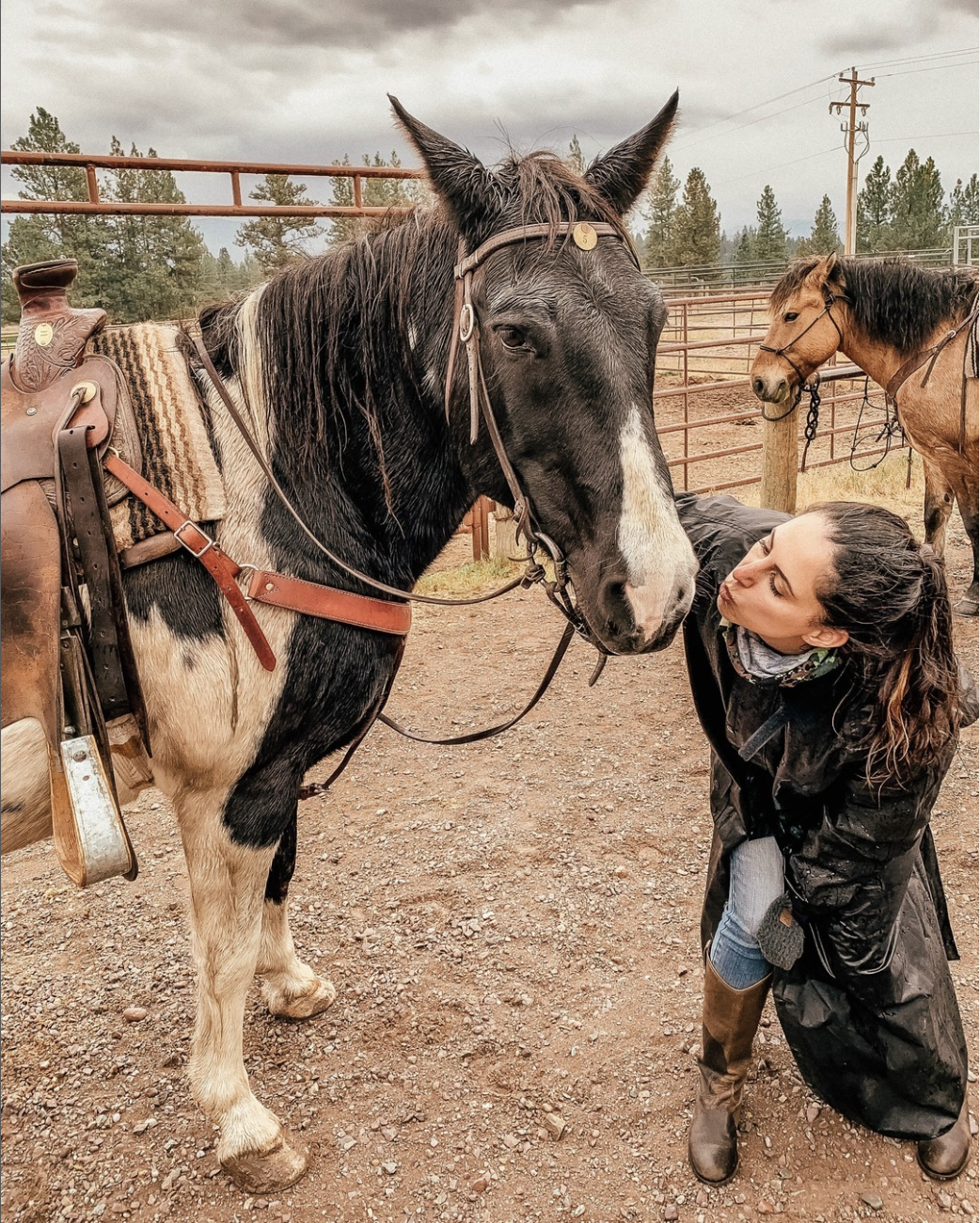 resort at paws up an american dude ranch