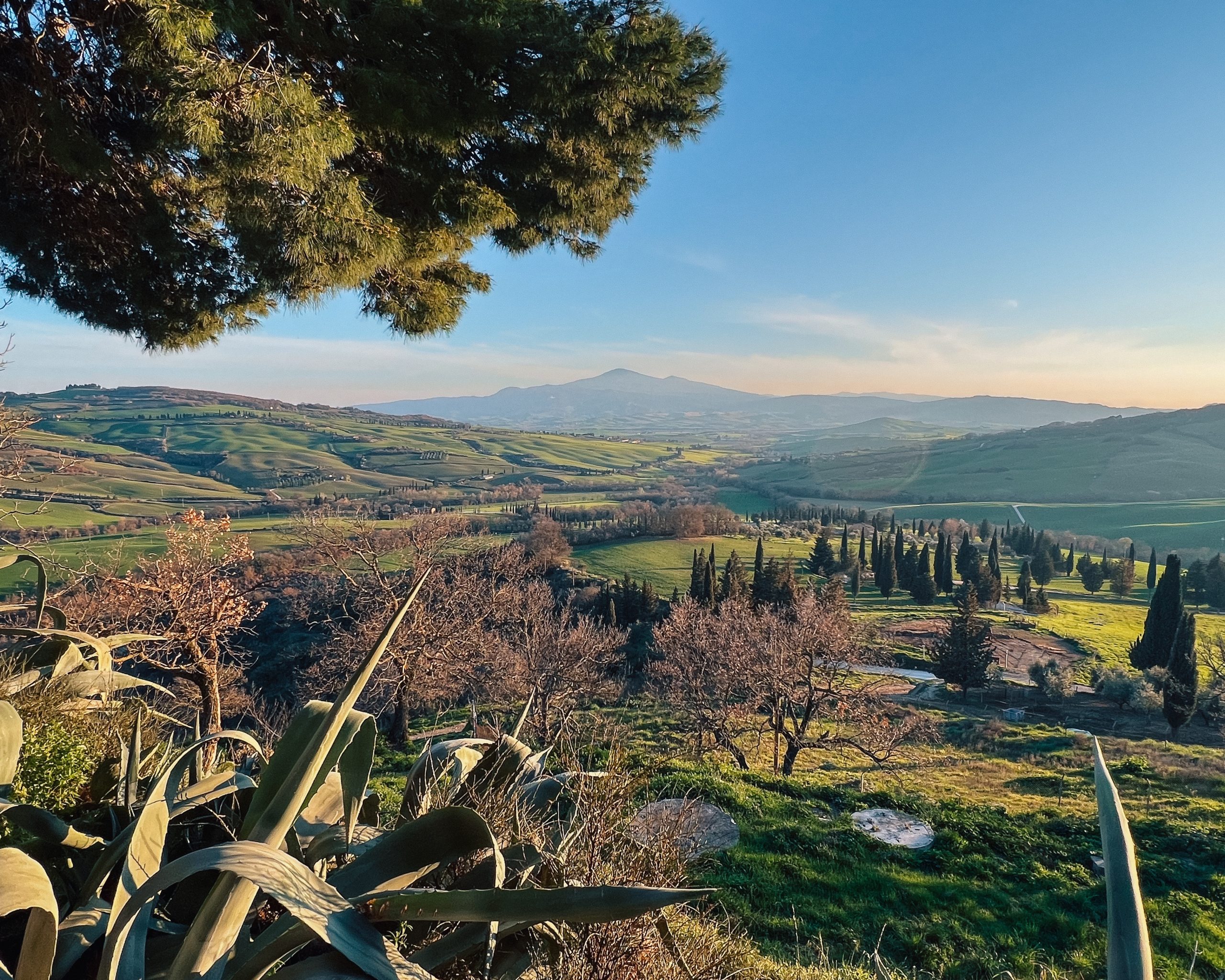 postcard from tuscany winery region