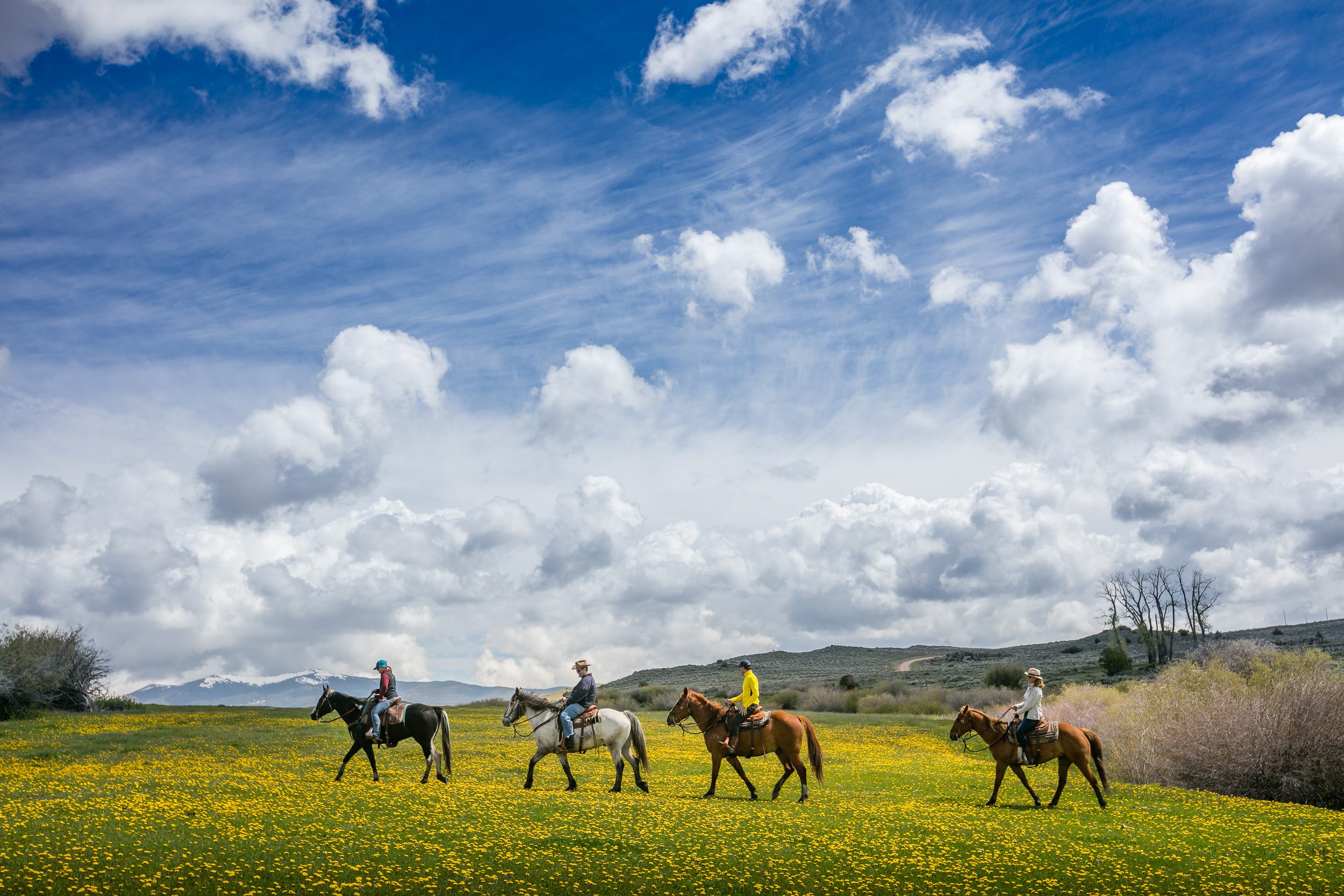 horseback riding at american dude ranches