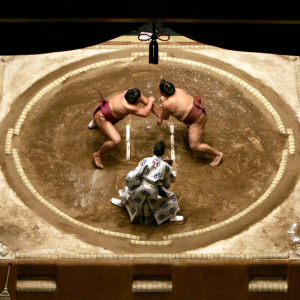 sumo Tokyo Japan rikishi