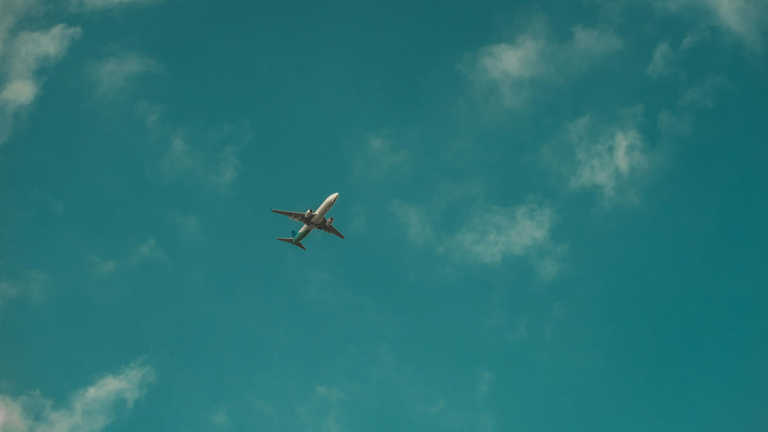 Travel Trends 2025