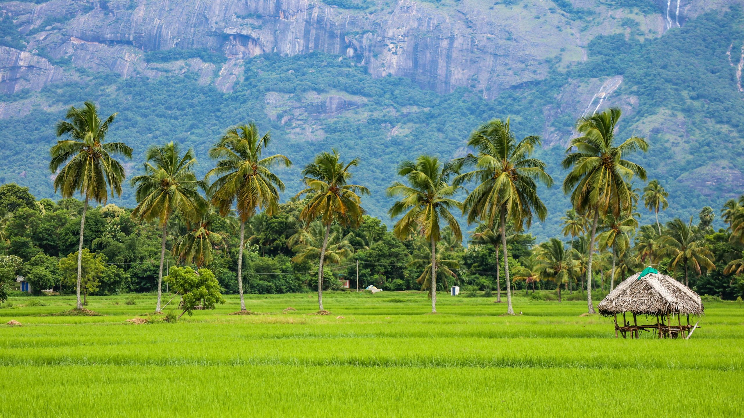Kerala