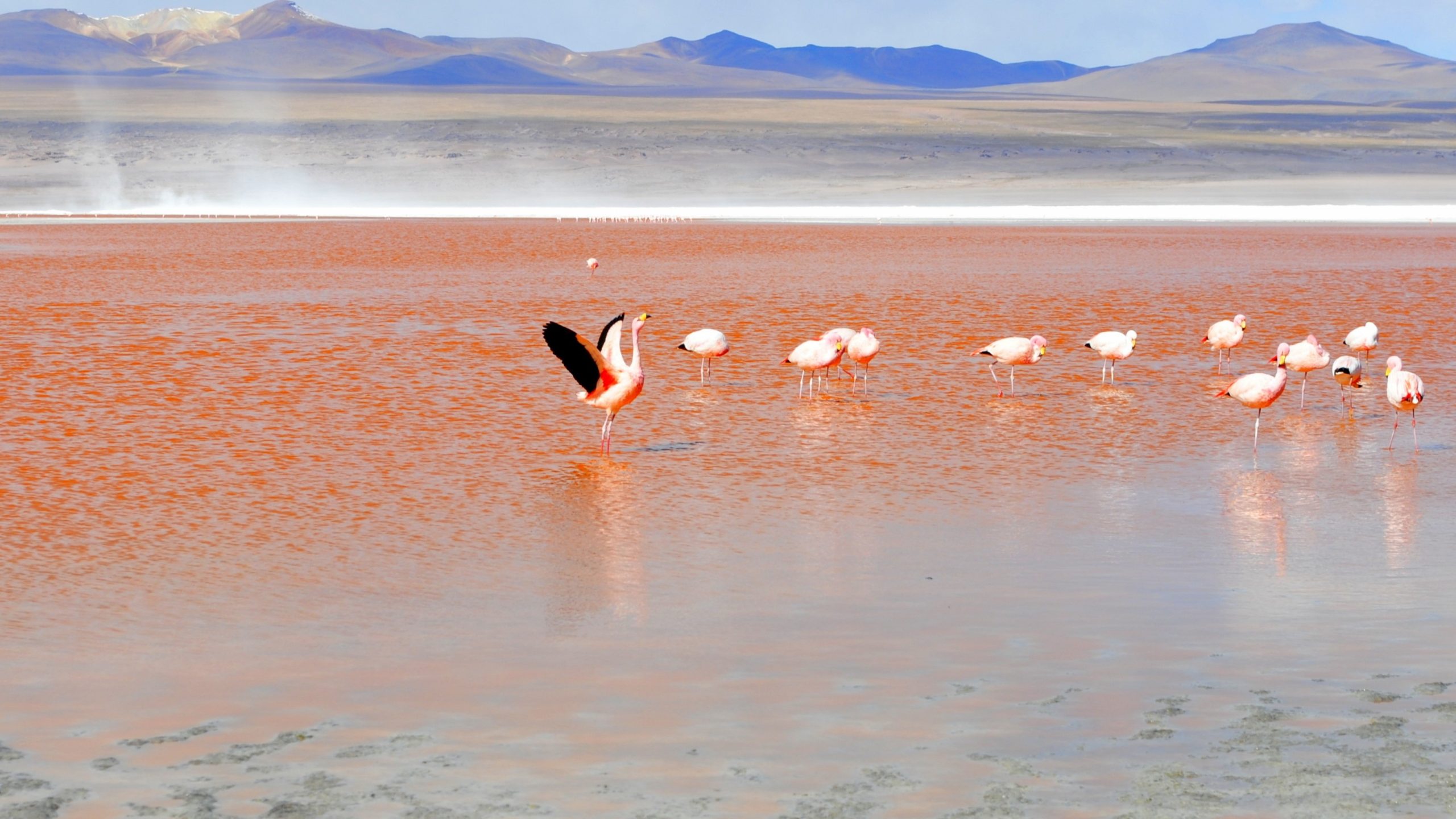 Bolivia