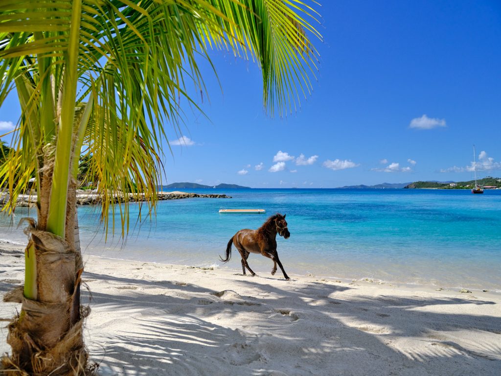 Aerial BVI