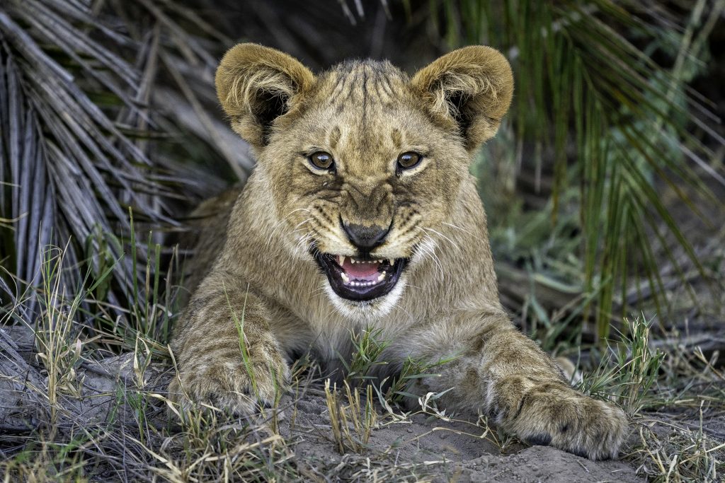 Botswana