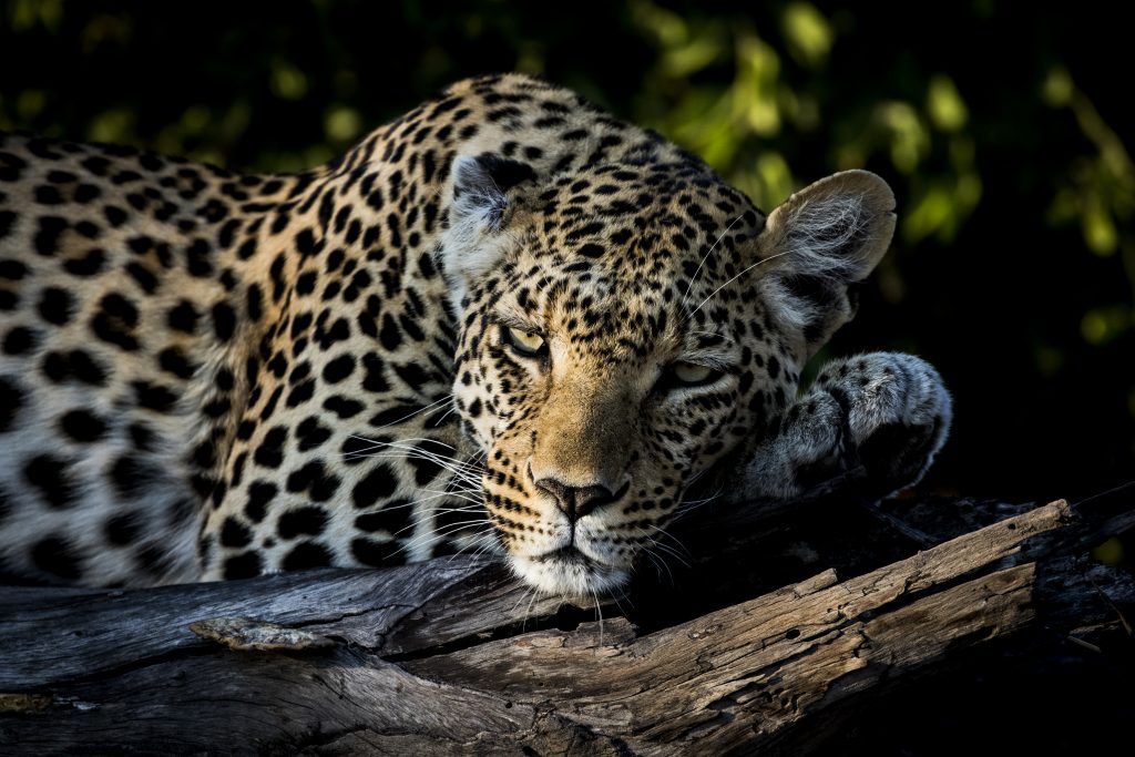 Botswana