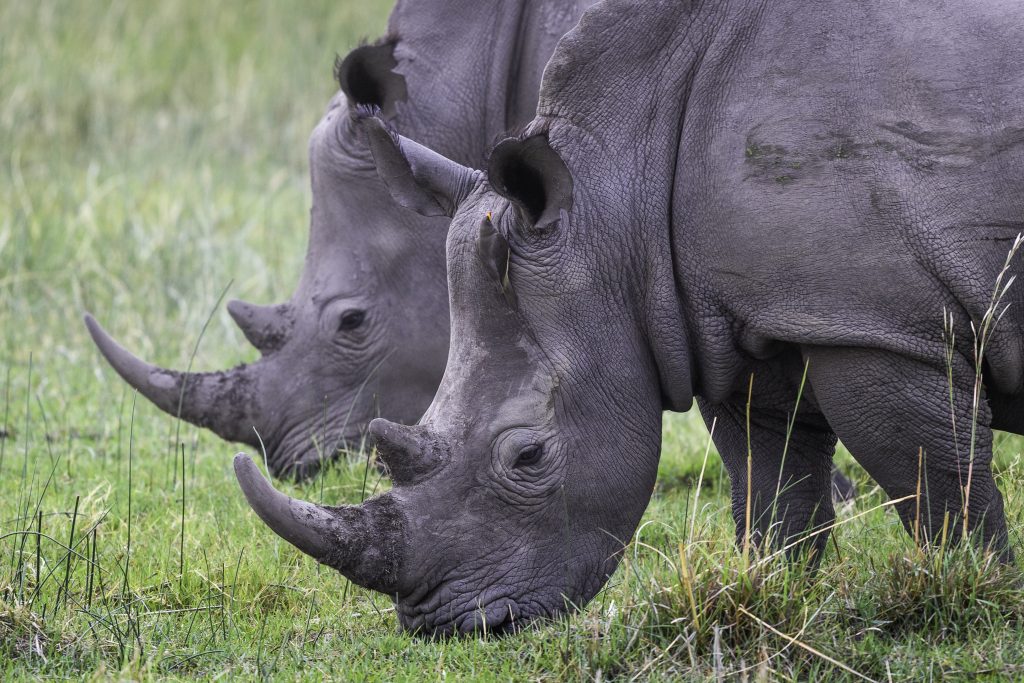 Botswana