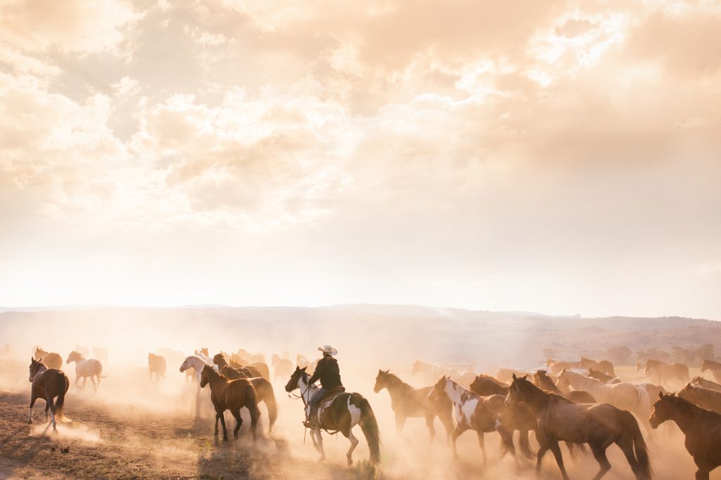 Brush Creek Ranch