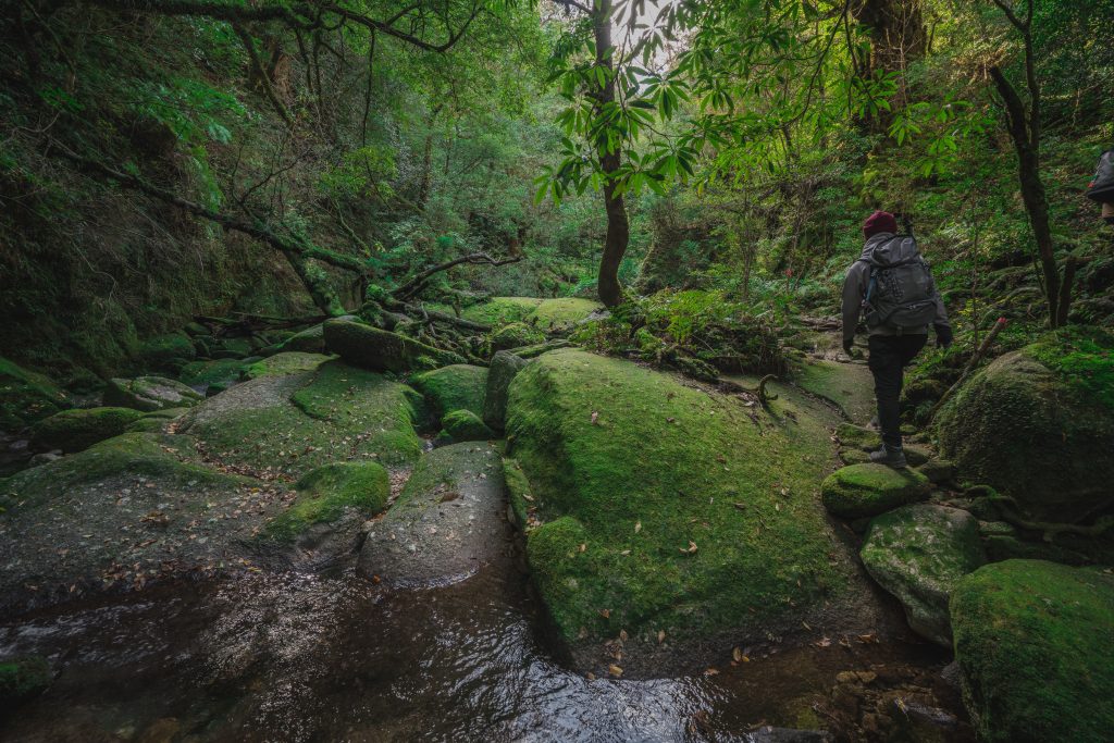 Japan