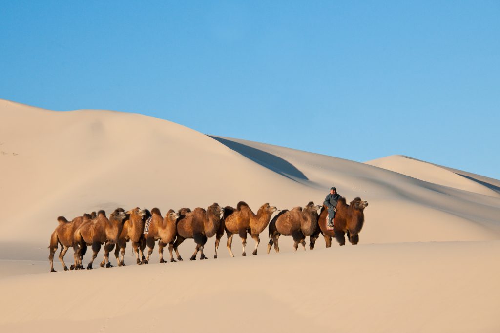 Mongolia