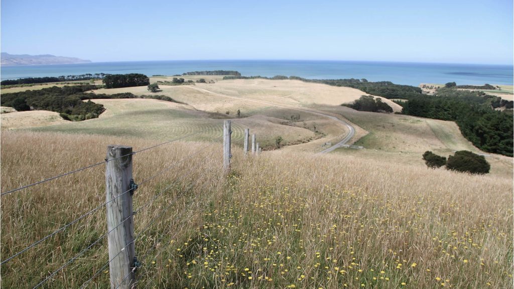 New Zealand
