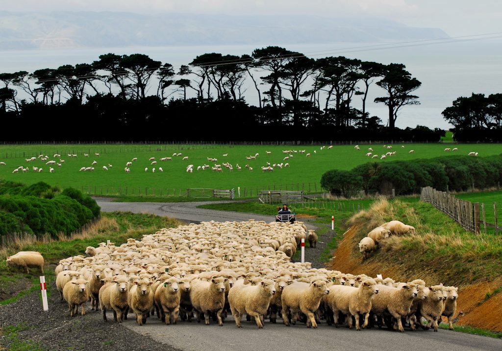 New Zealand