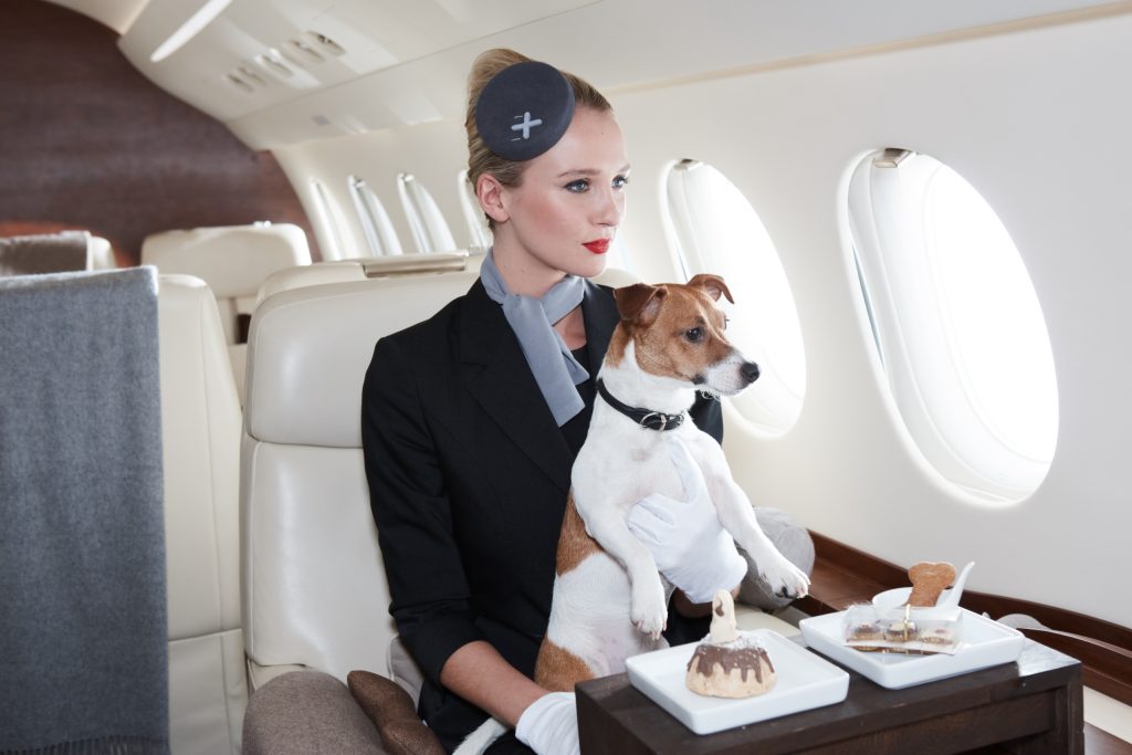 Private Air Travel