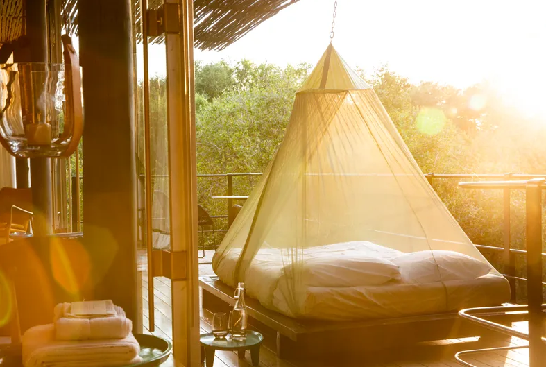 Singita