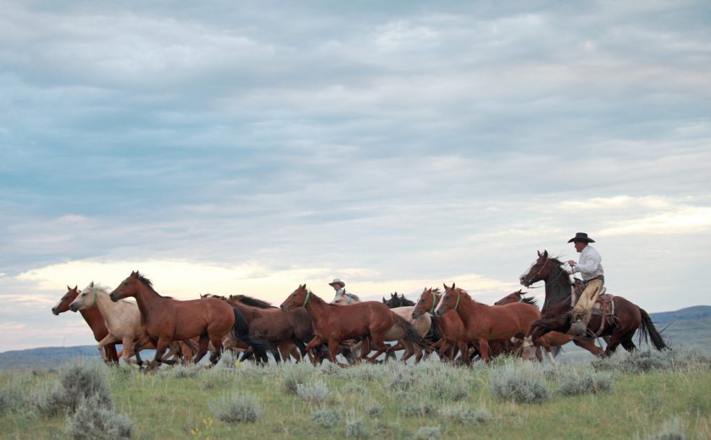 Wyoming